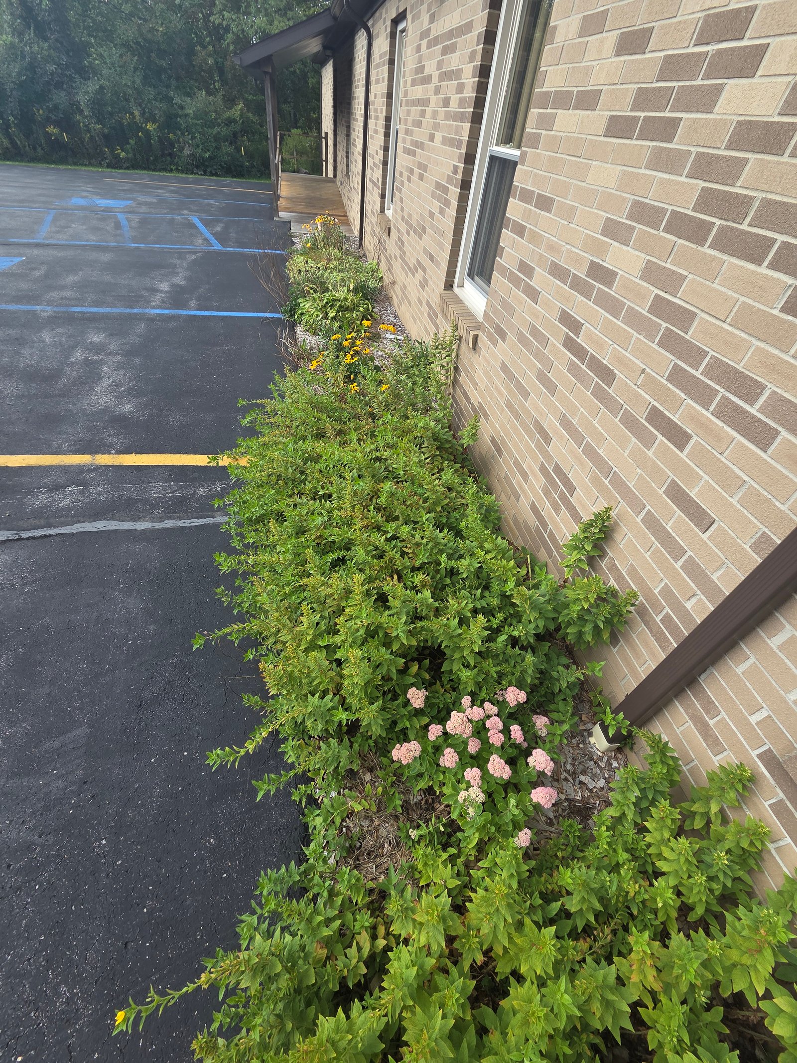 Original Grace Bible Church property photograph 6